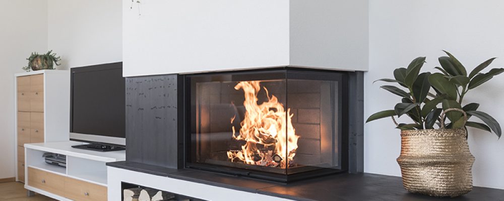 Eco Venus Ruegg_800x1000