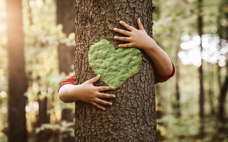 Réduction_CO2_dernières_années