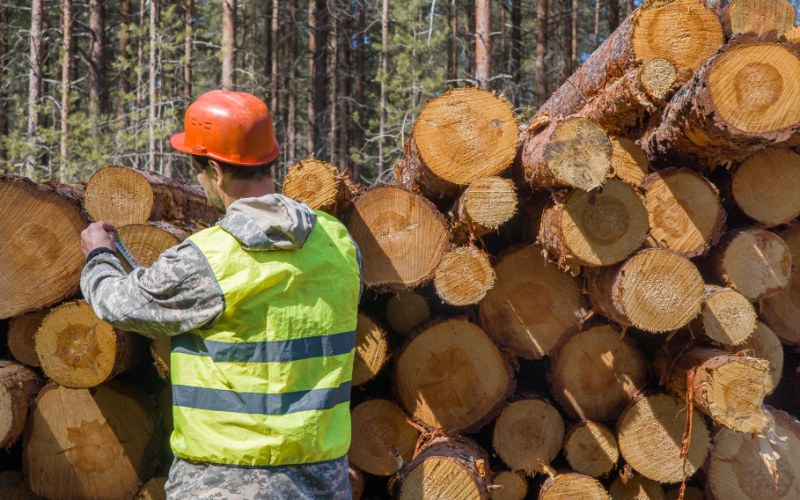 biomasse_créé_emploi